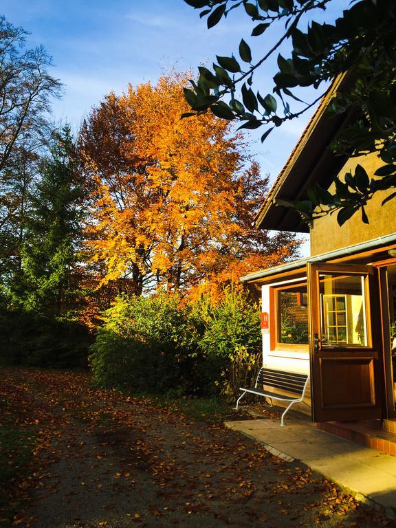 Le Chalet Luttenbach-près-Munster Εξωτερικό φωτογραφία