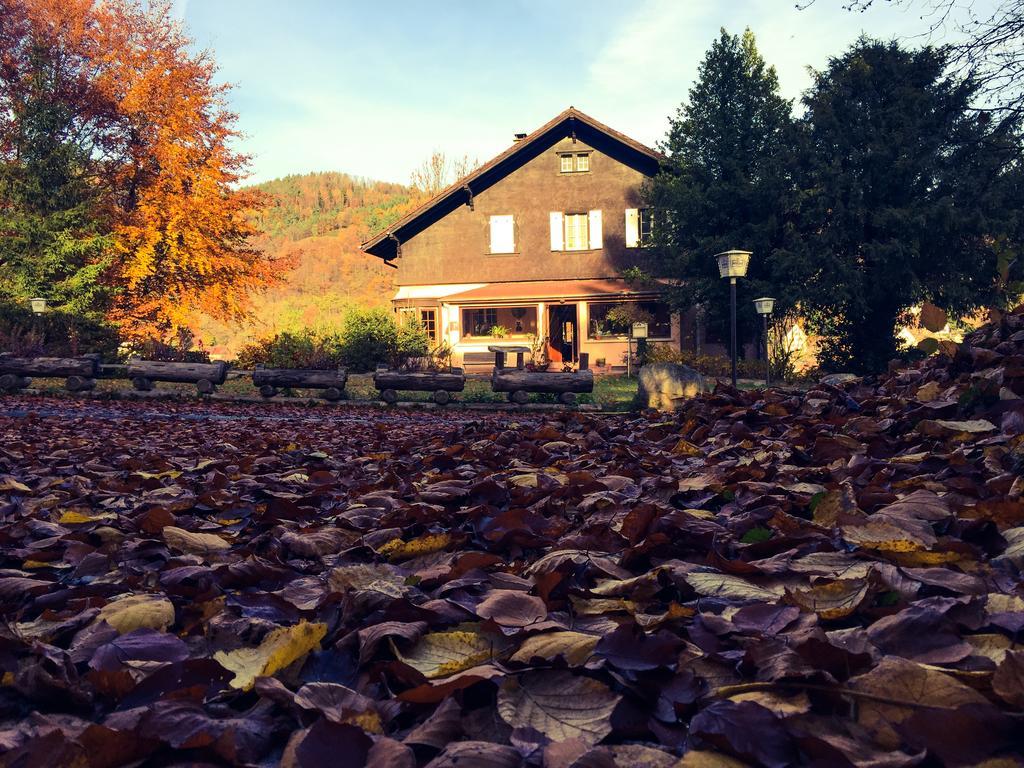 Le Chalet Luttenbach-près-Munster Εξωτερικό φωτογραφία