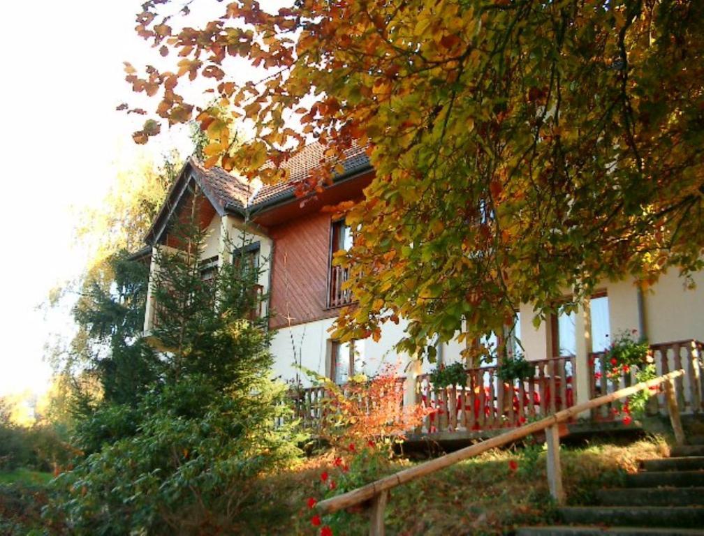 Le Chalet Luttenbach-près-Munster Εξωτερικό φωτογραφία