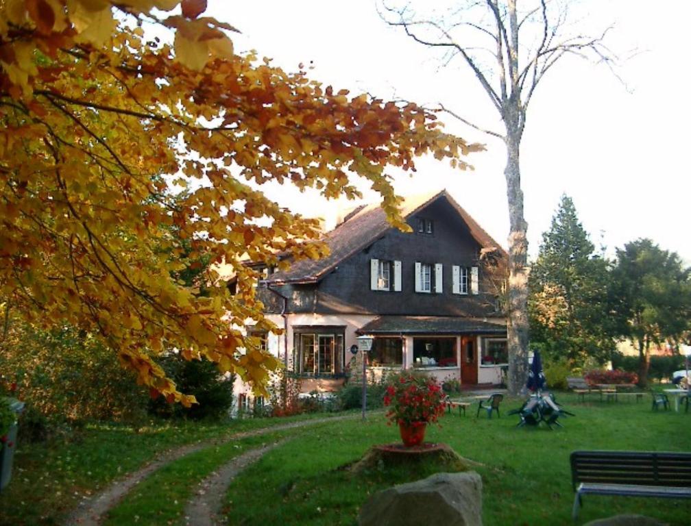 Le Chalet Luttenbach-près-Munster Εξωτερικό φωτογραφία